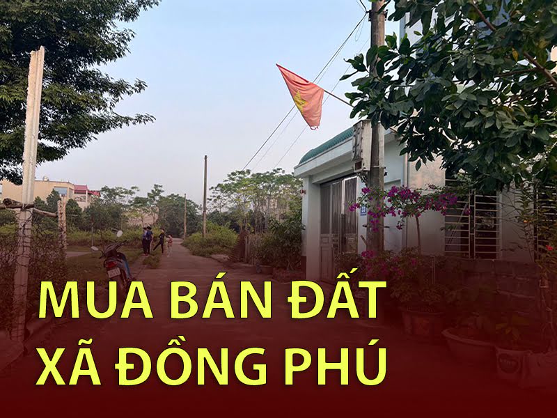 Mua bán ký gửi Bất Động Sản Xã Đồng Phú, Chương Mỹ Hà Nội | Hưng Thành Land